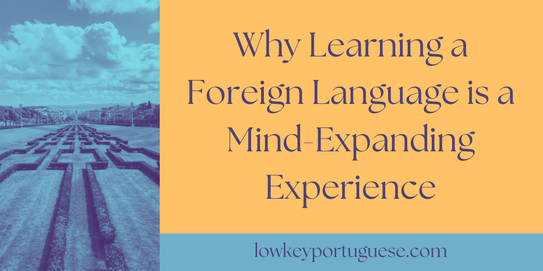 Why Learning a Foreign Language is a Mind-Expanding Experience