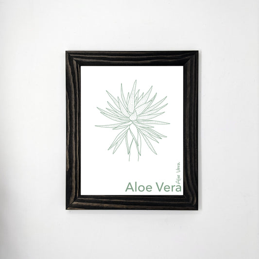Bilingual Portuguese / English Aloe Vera Plant Print (1) on Linen