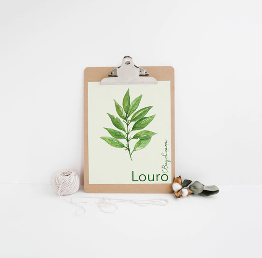 Bay Leaves / Louro Bilingual Portuguese / English Kitchen Herbs Print (1) on 8x10-inch Linen