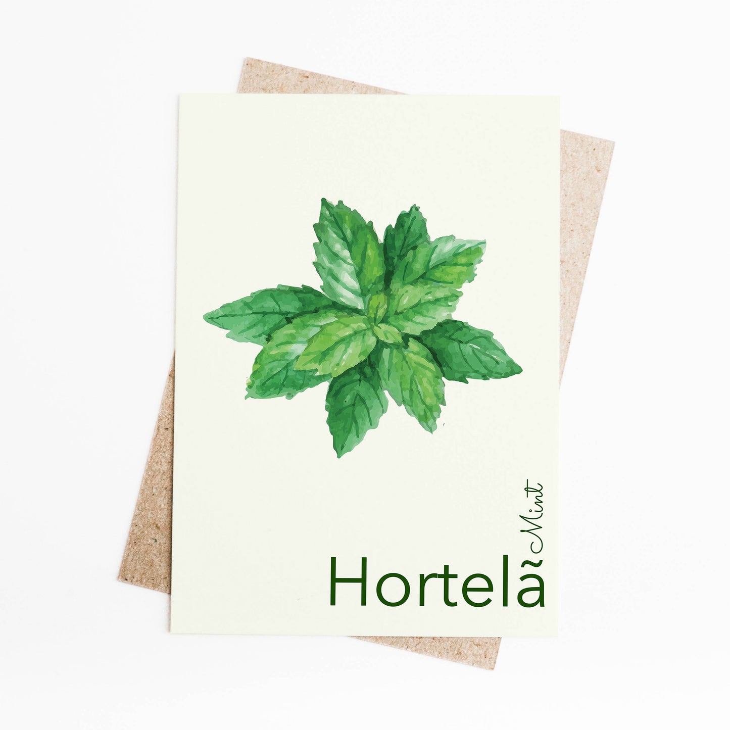Mint / Hortelã Bilingual Portuguese / English Kitchen Herbs Print (1) on 8x10-inch Linen